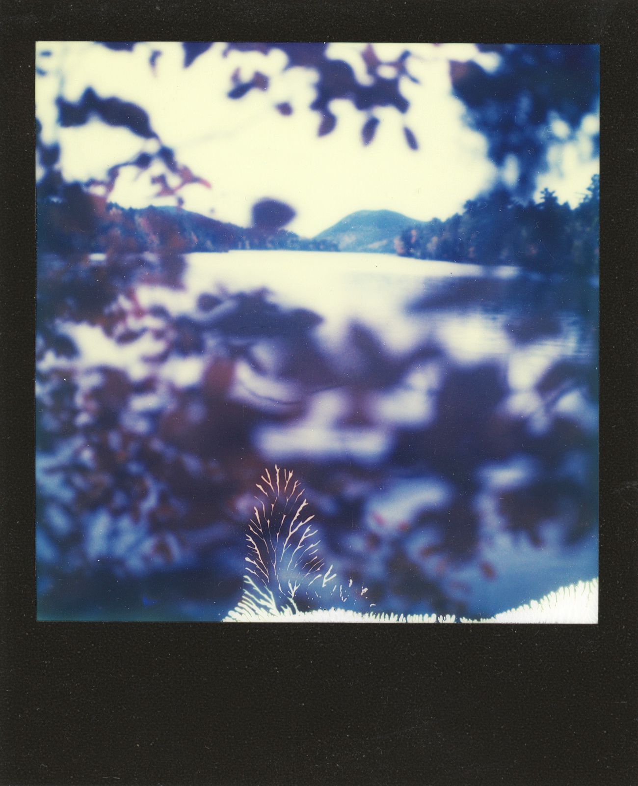 polaroid-0021a.JPG