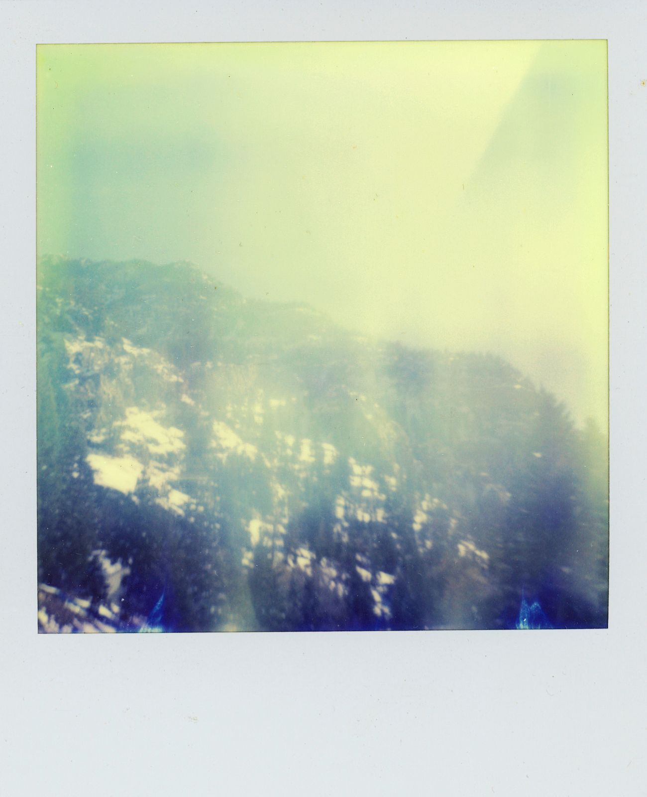 polaroid-0015d.JPG