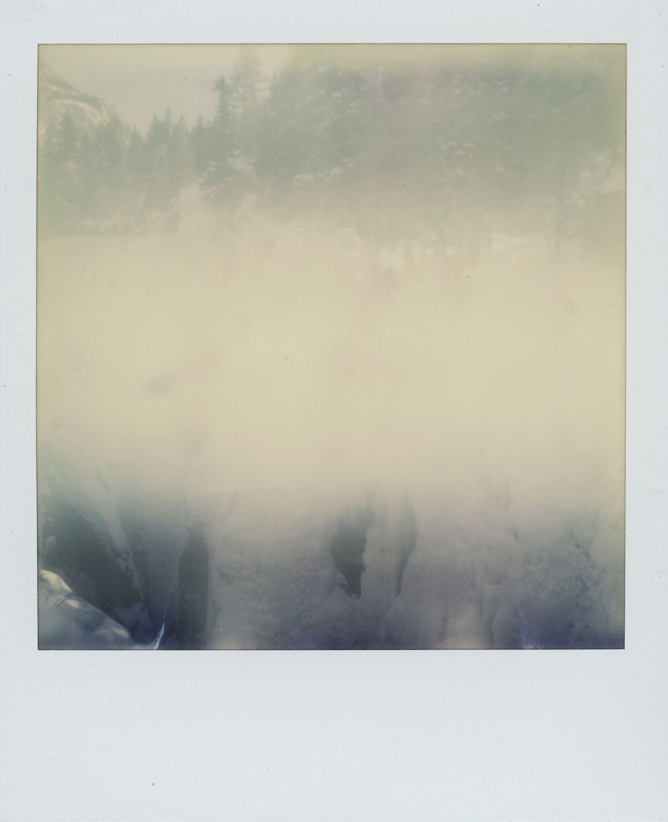 polaroid-0015a.JPG