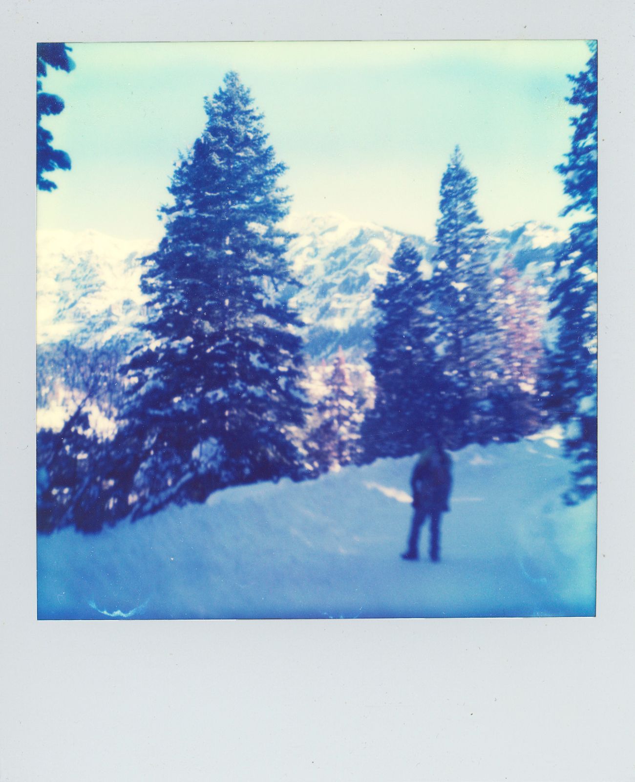 polaroid-0022b.JPG