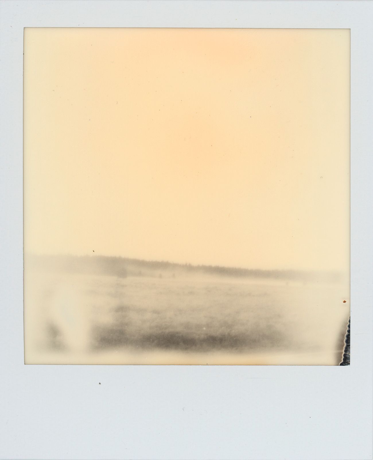 polaroid-0031a.JPG