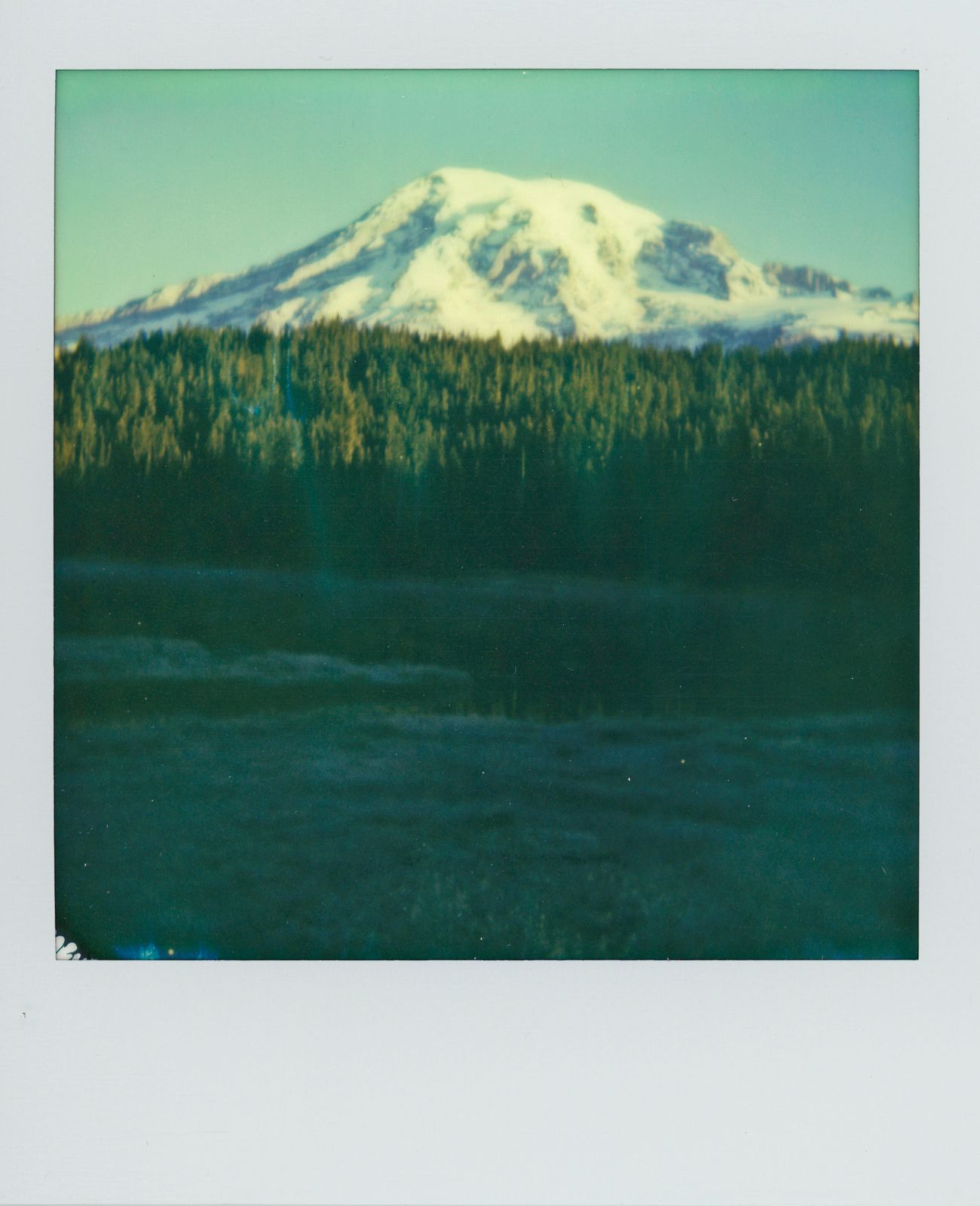 polaroid-0003c.JPG