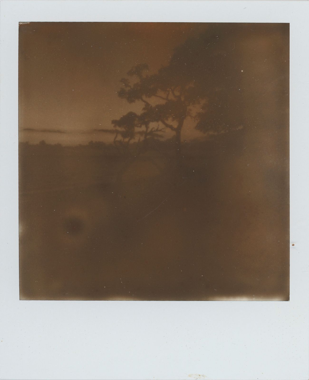polaroid-0032a.JPG
