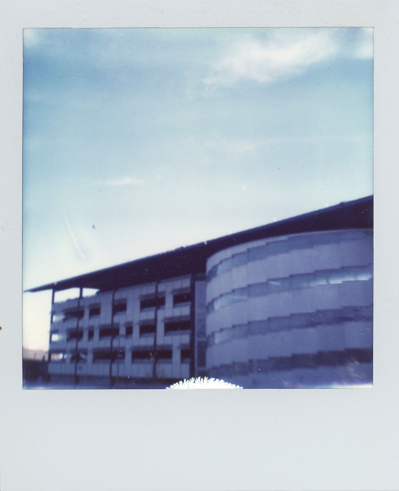 polaroid-0024a.JPG