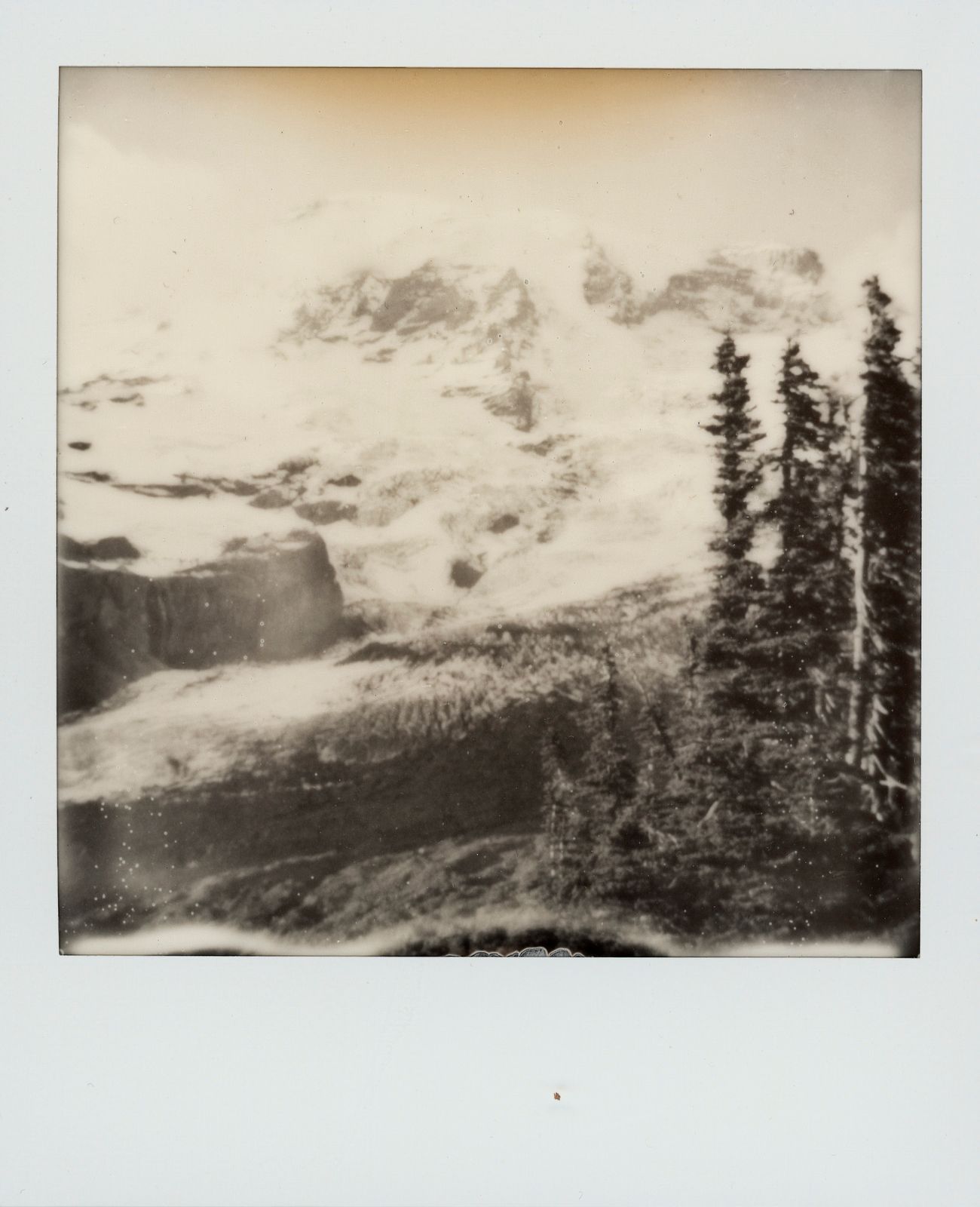 polaroid-0023a.JPG