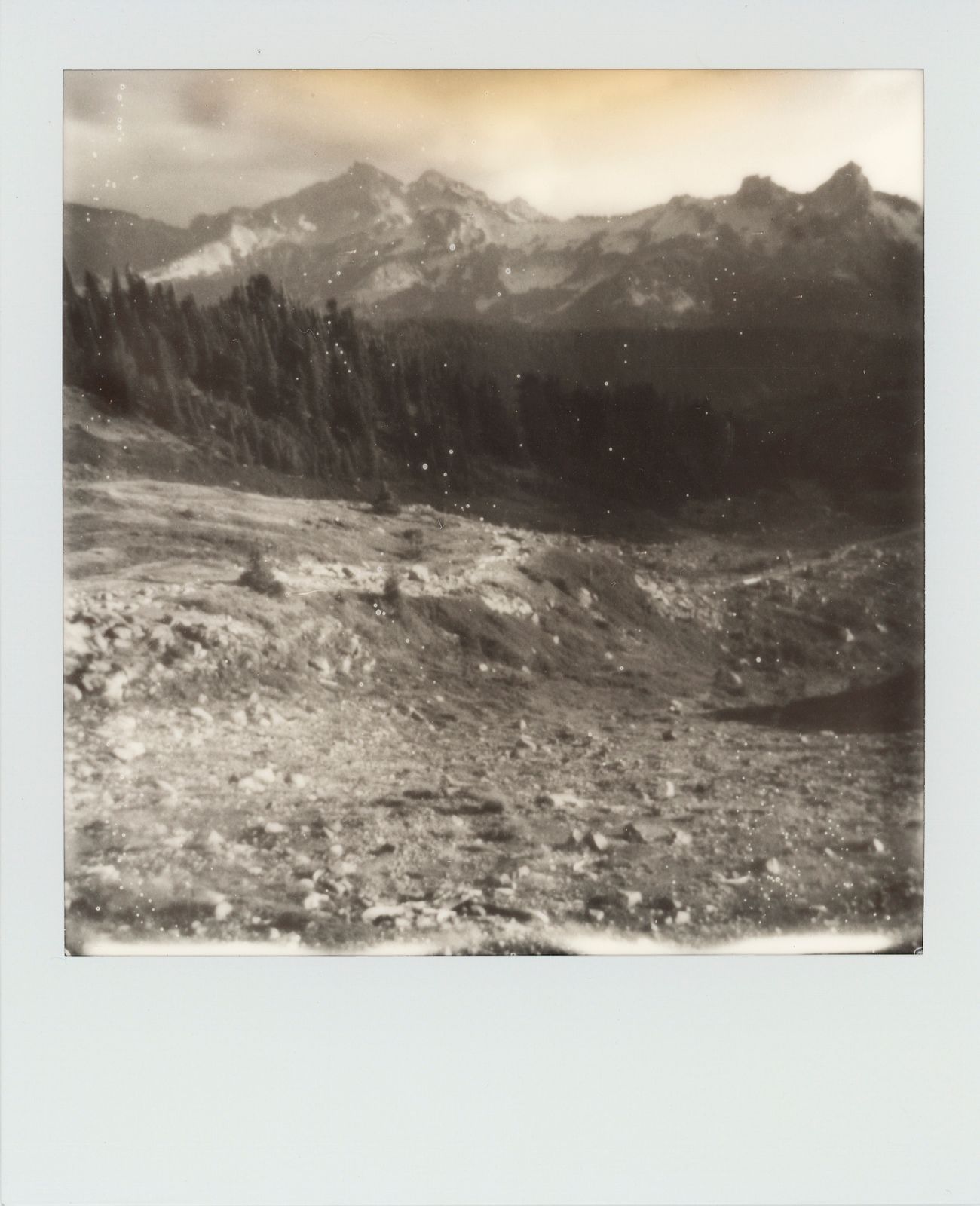 polaroid-0008b.JPG