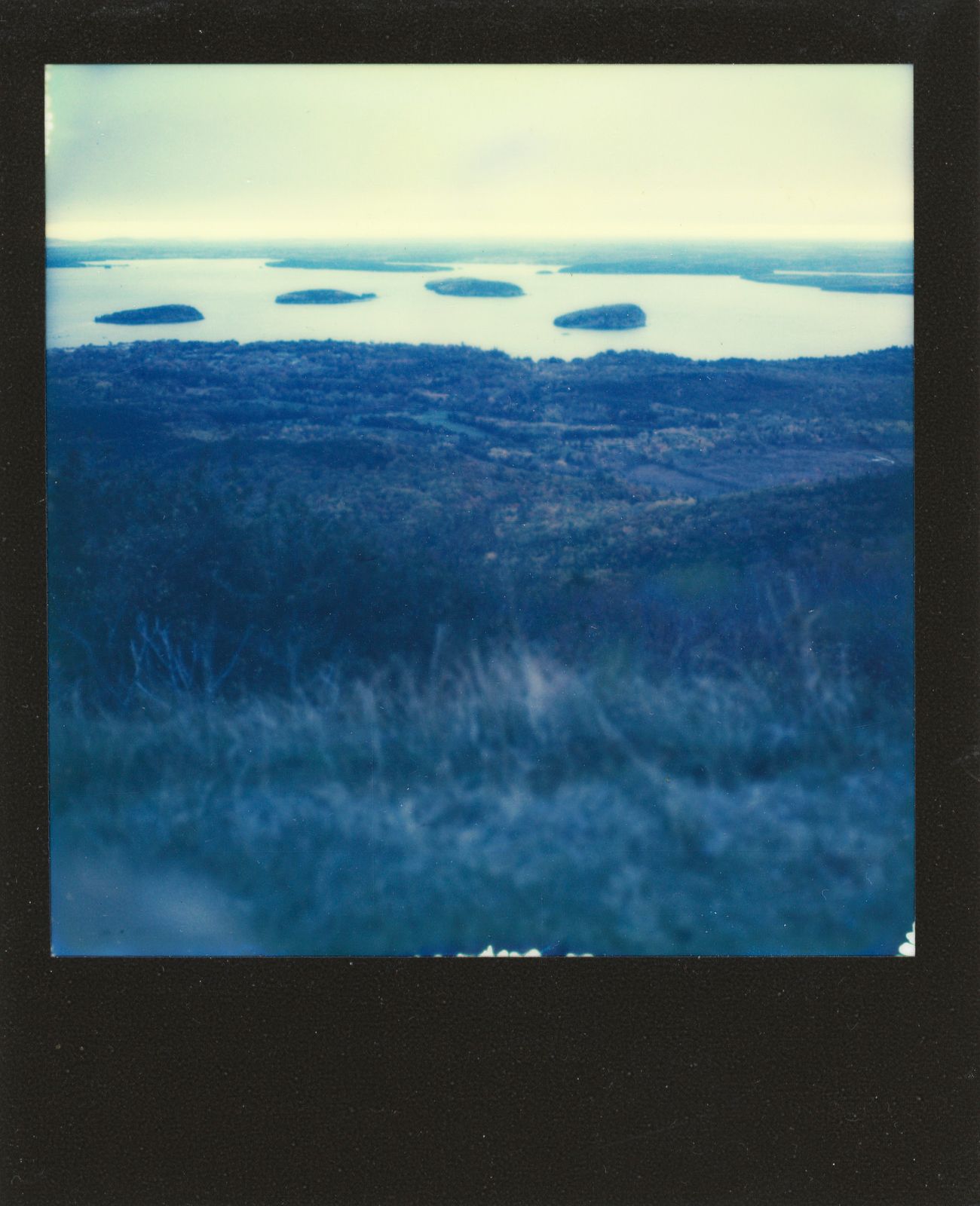 polaroid-0013a.JPG