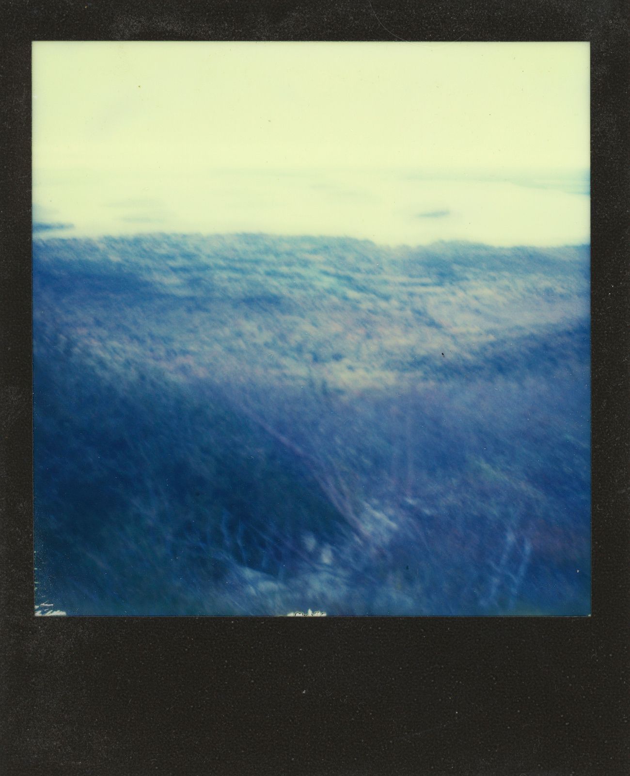 polaroid-0010a.JPG