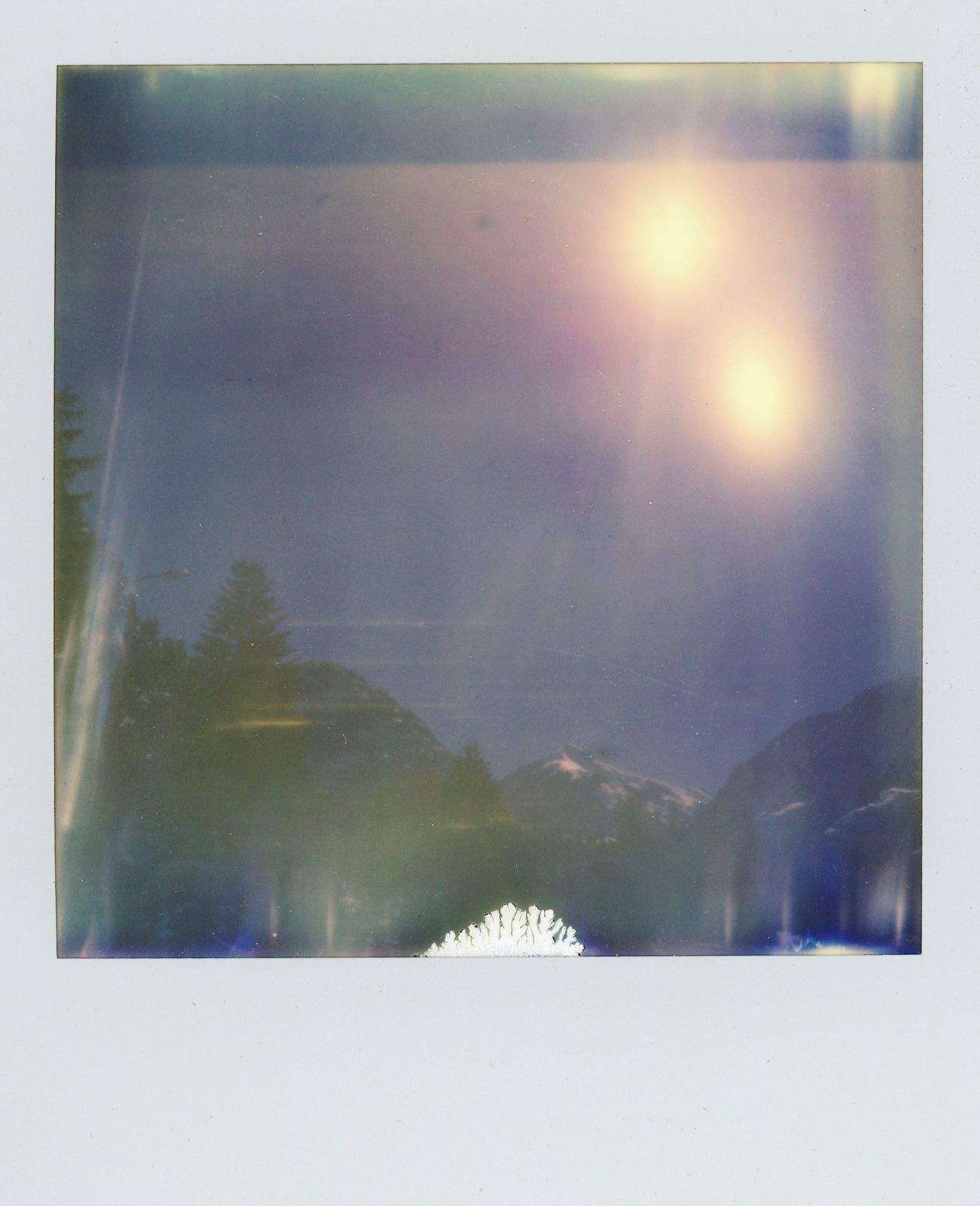 polaroid-0015c.JPG