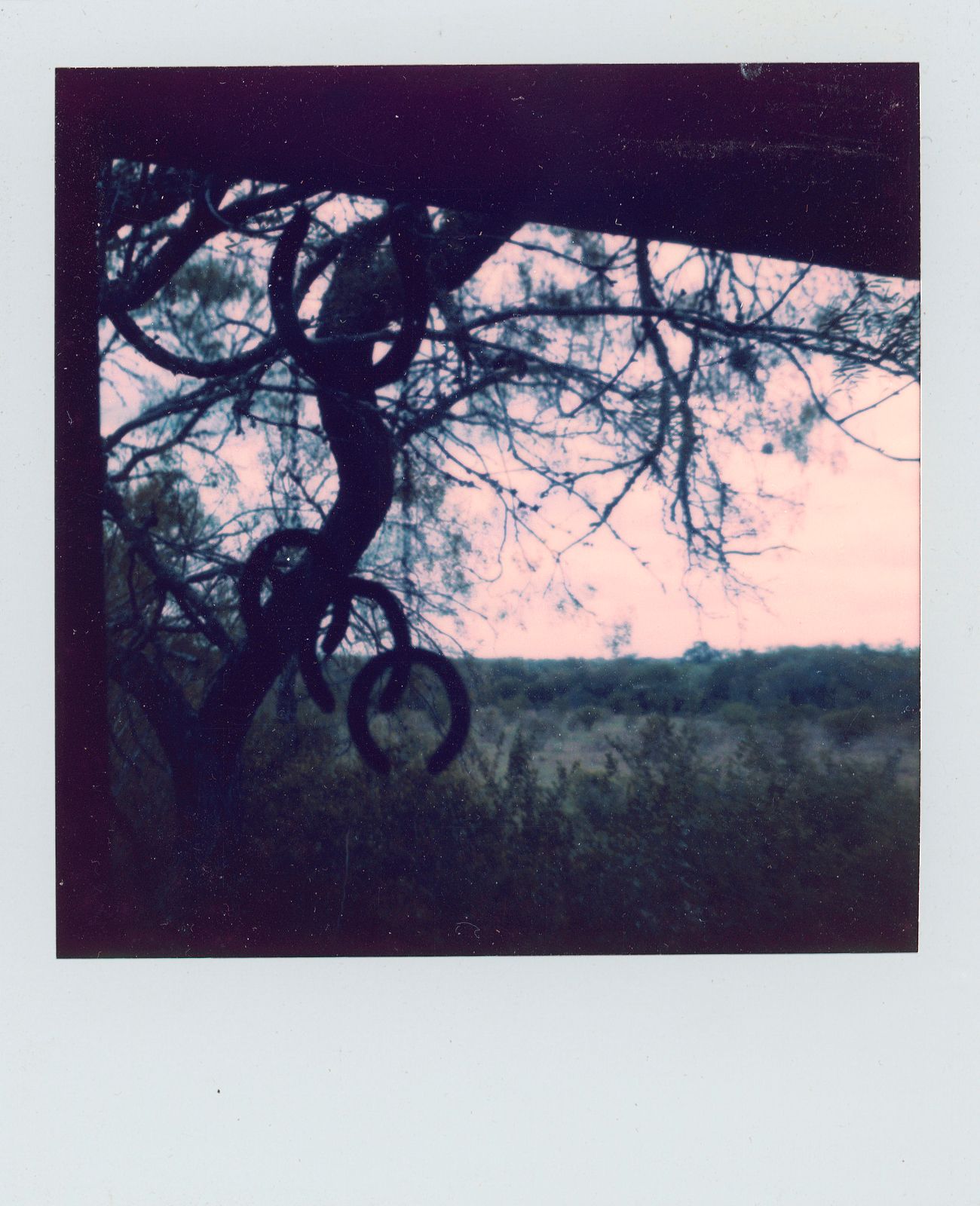 polaroid-0026d.JPG