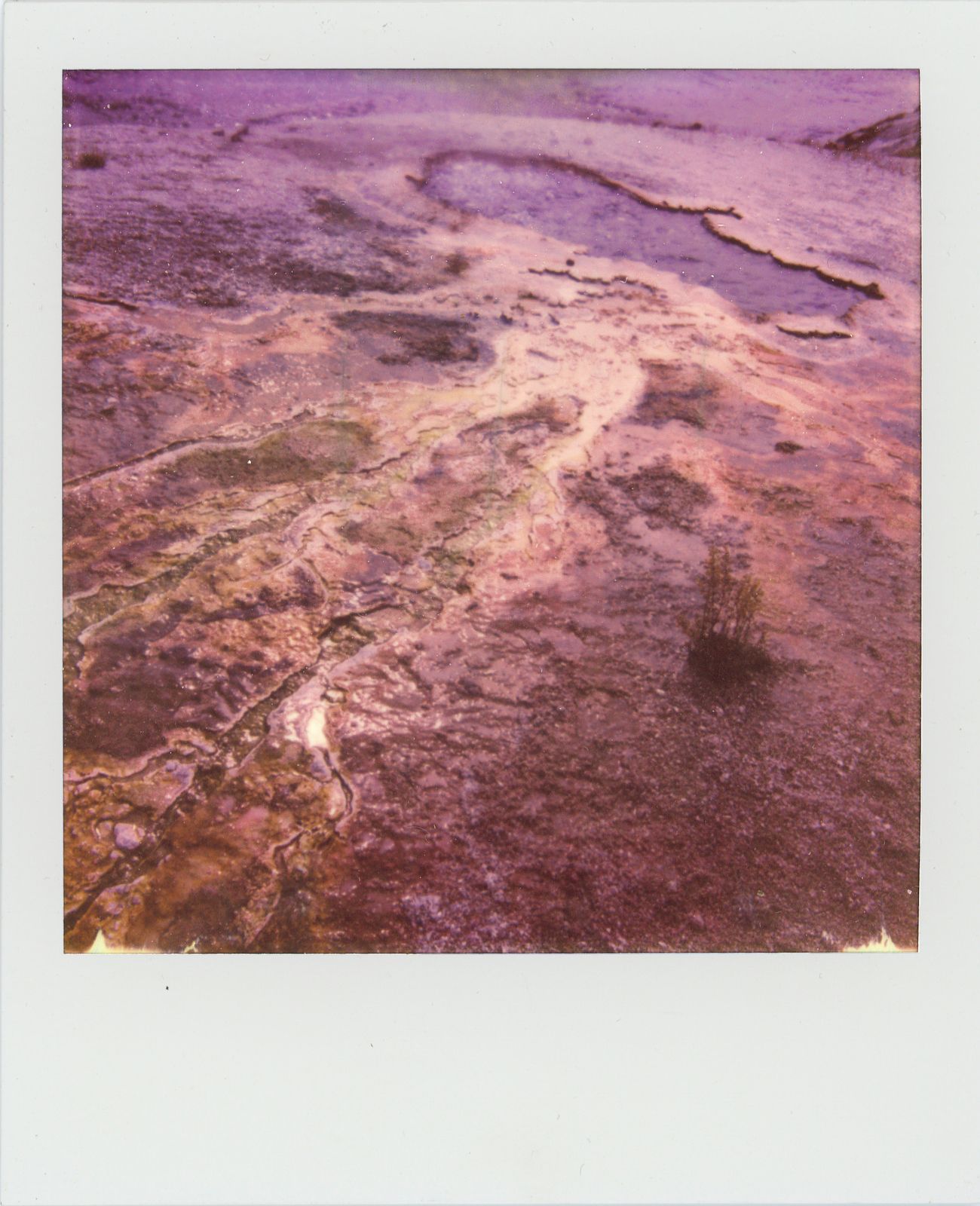 polaroid-0029d.JPG
