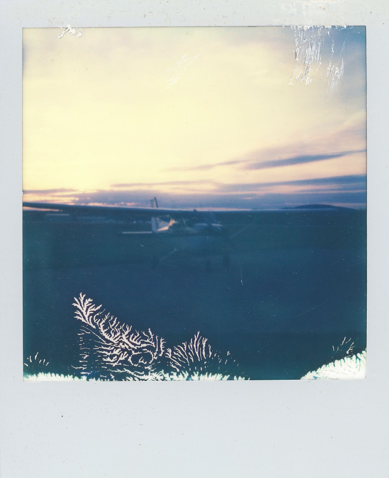 polaroid-0024d.JPG