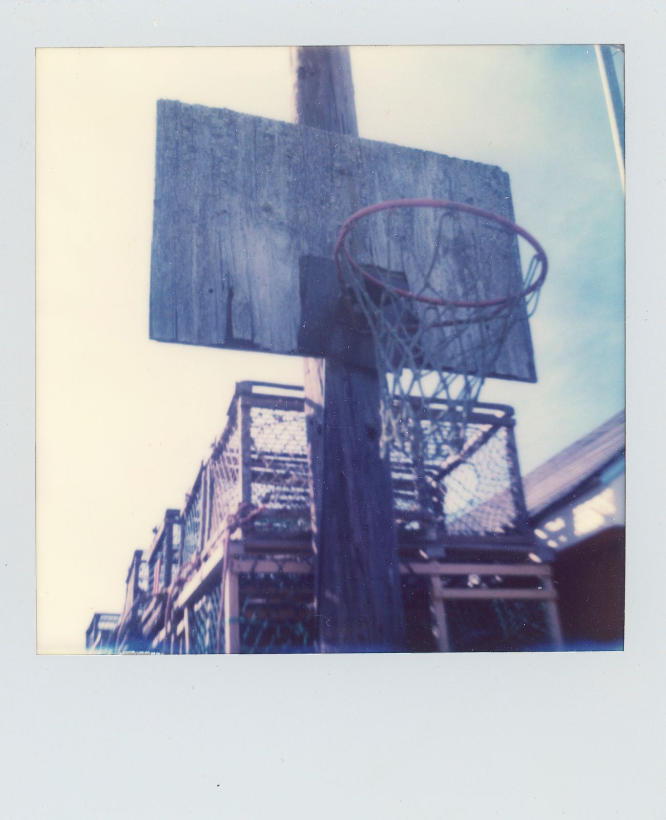 polaroid-0019d.JPG