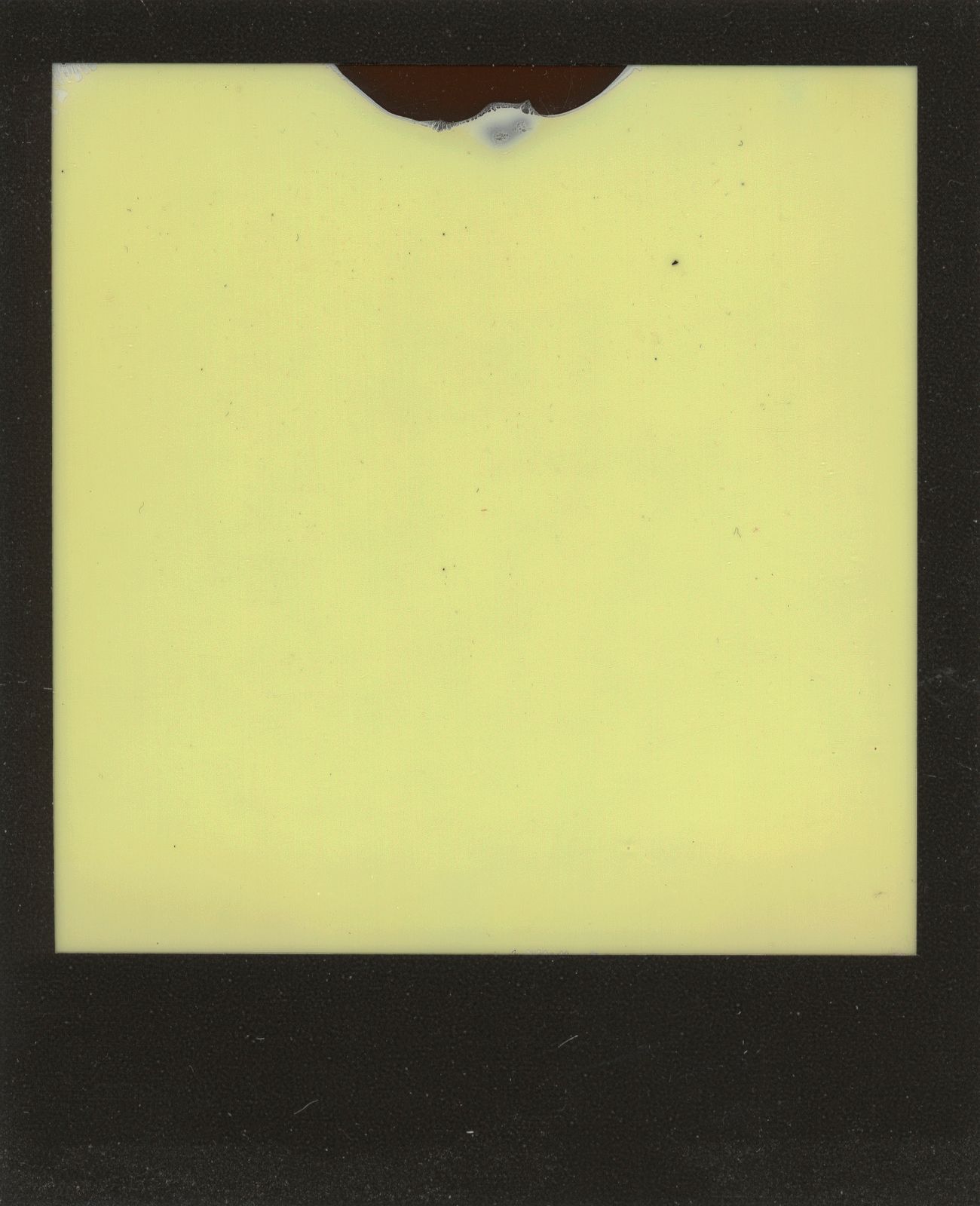 polaroid-0028a.JPG