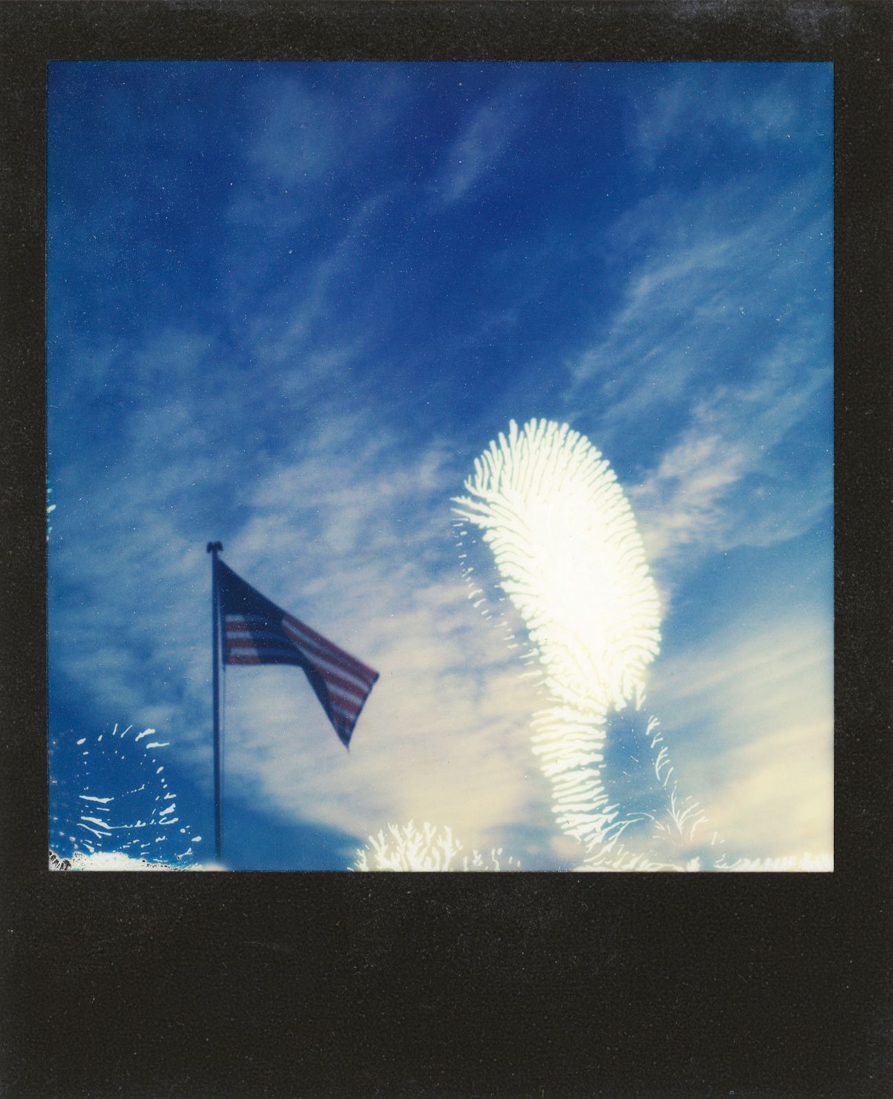 polaroid-0024c.JPG