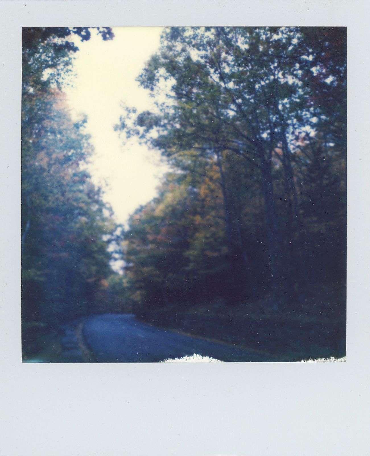 polaroid-0027a.JPG