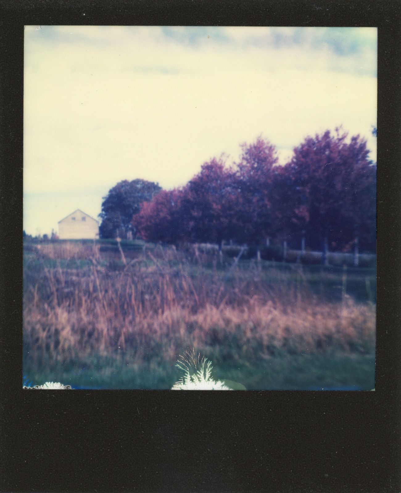 polaroid-0020b.JPG