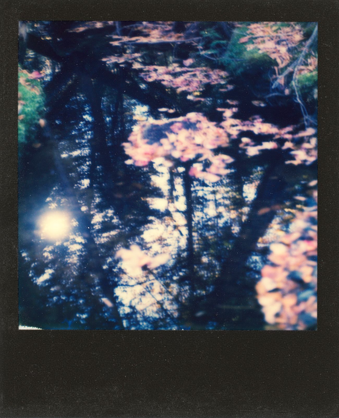 polaroid-0025c.JPG