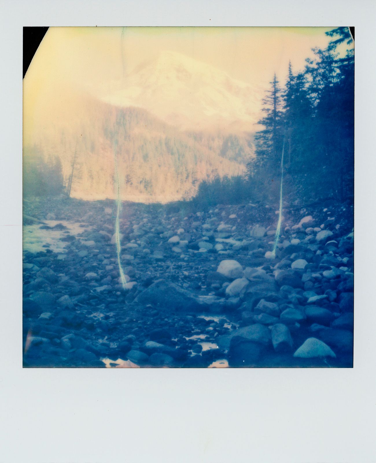 polaroid-0007b.JPG