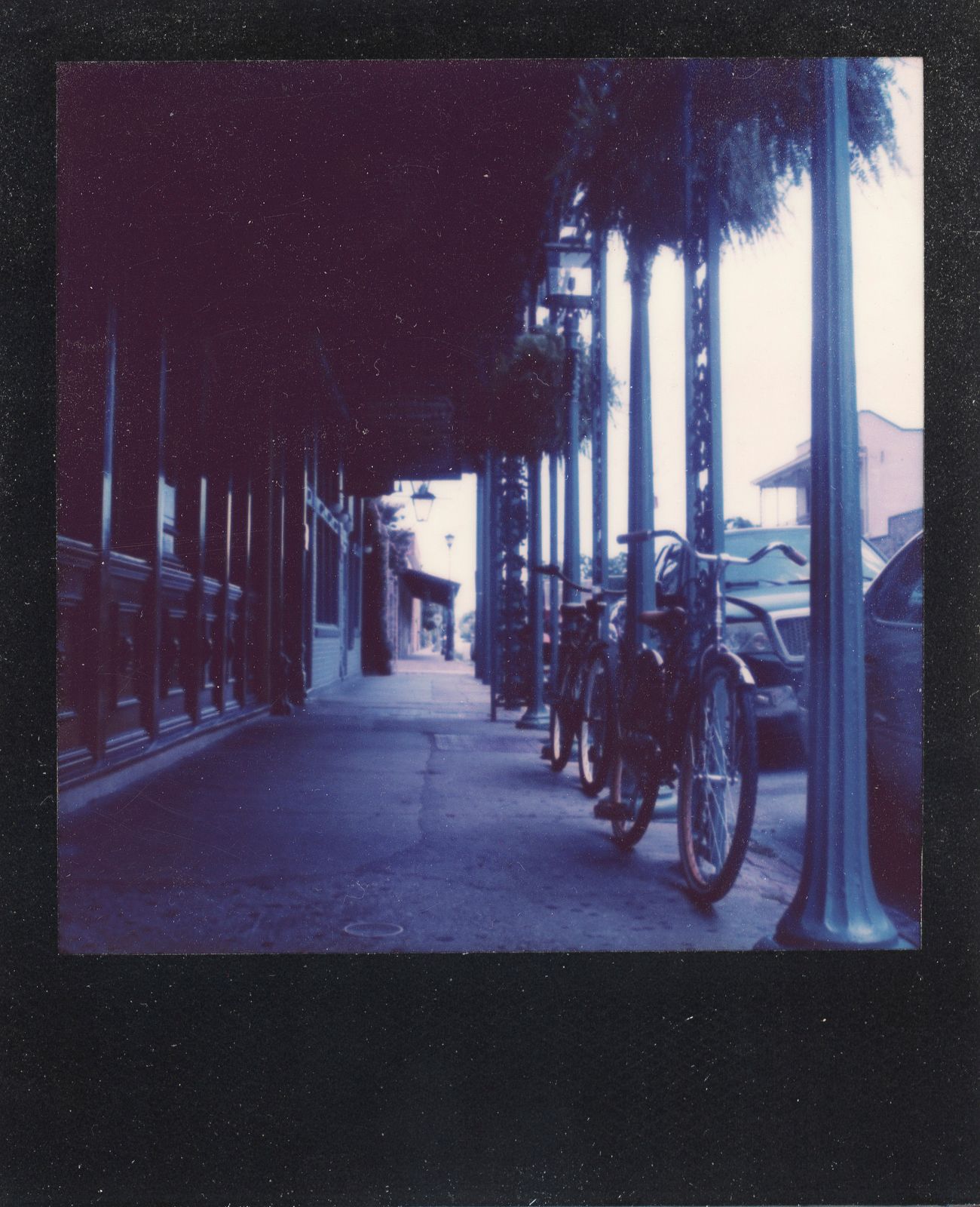 polaroid-0017b.JPG