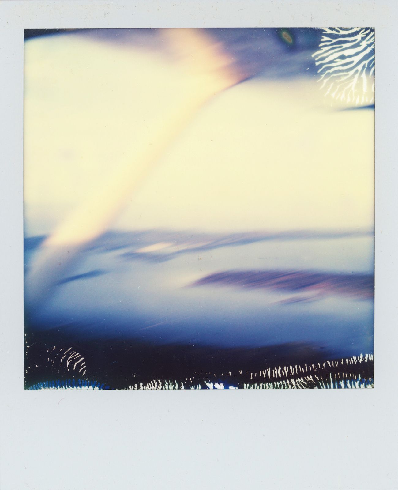 polaroid-0019b.JPG