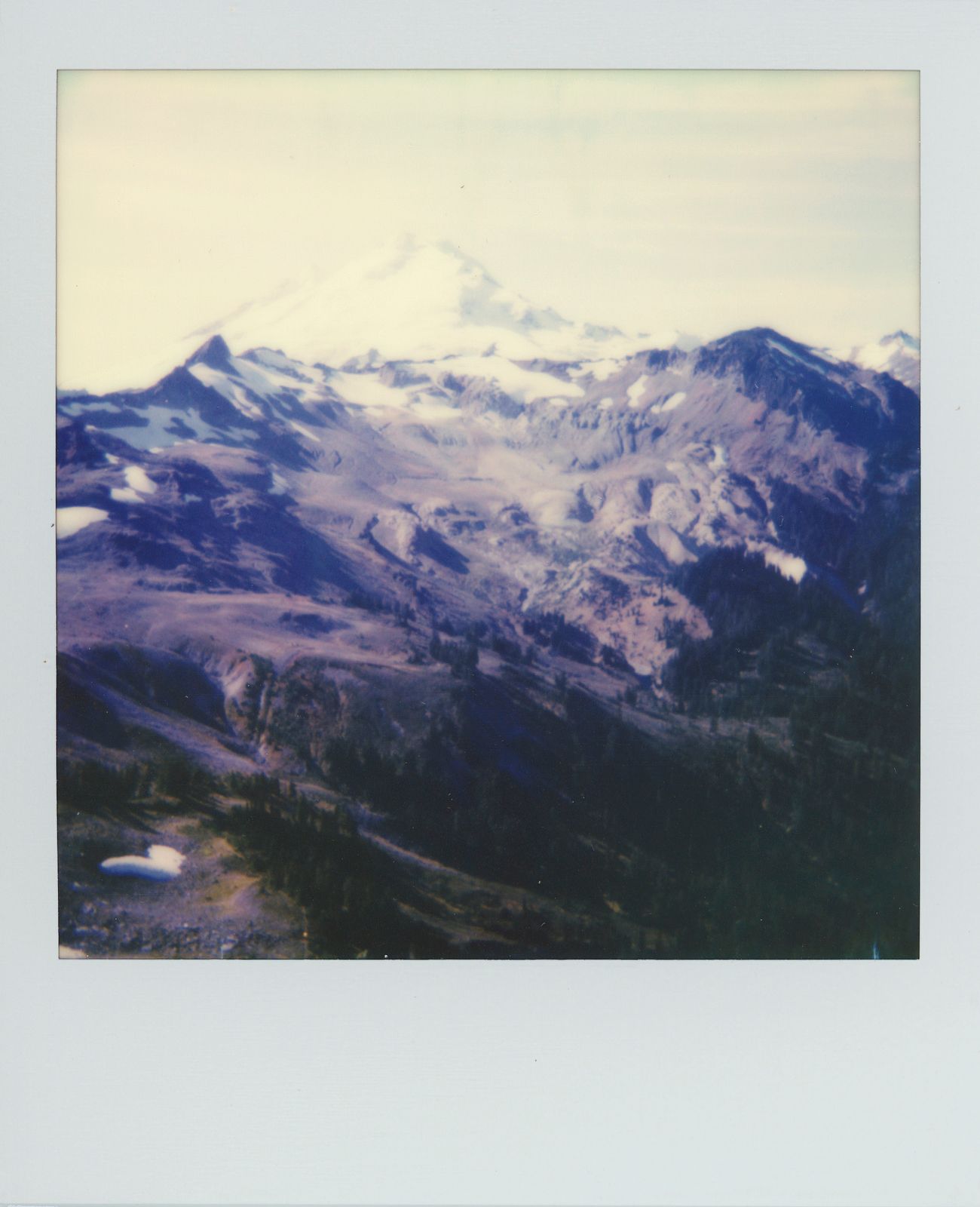 polaroid-0007a.JPG
