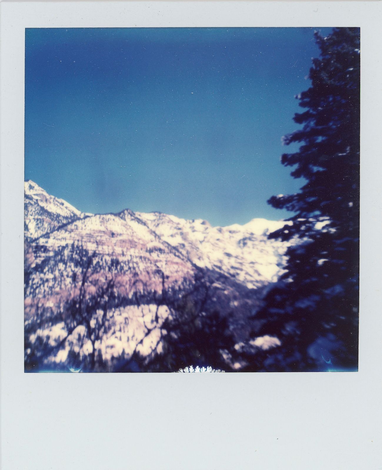polaroid-0024b.JPG