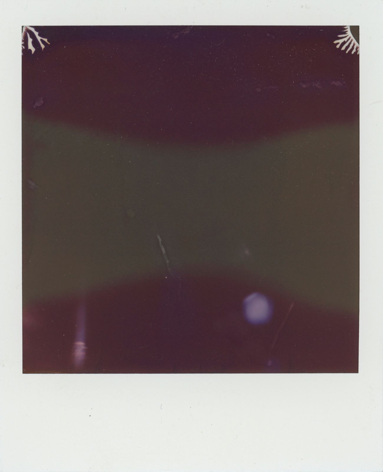 polaroid-0031b.JPG