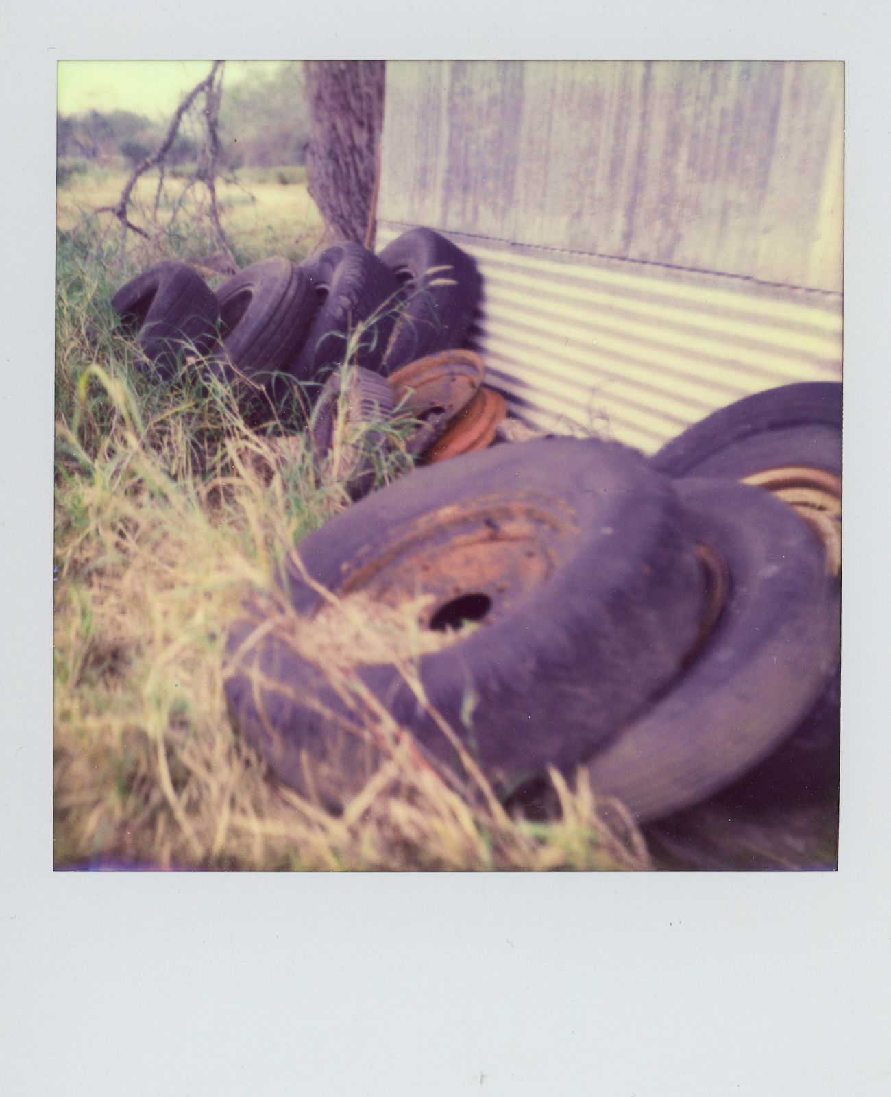 polaroid-0013b.JPG