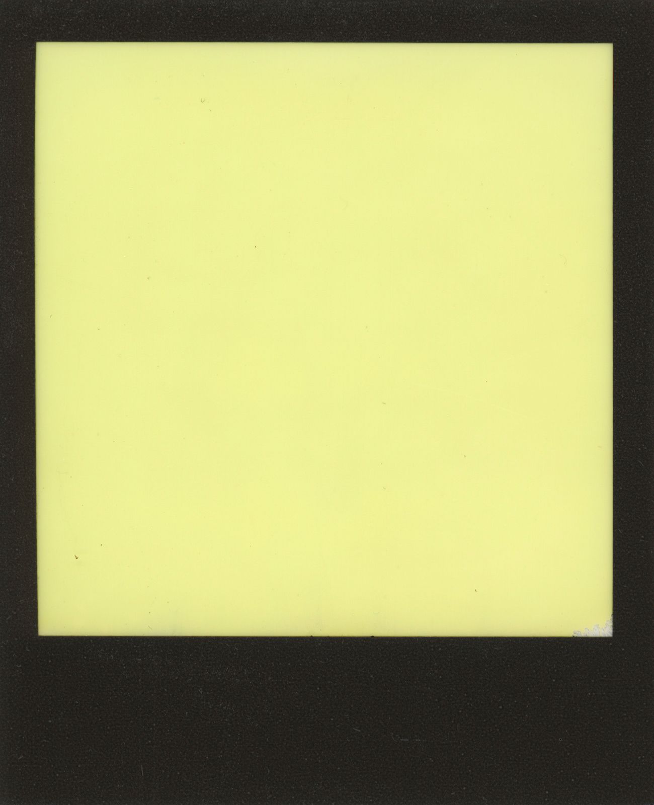 polaroid-0011c.JPG