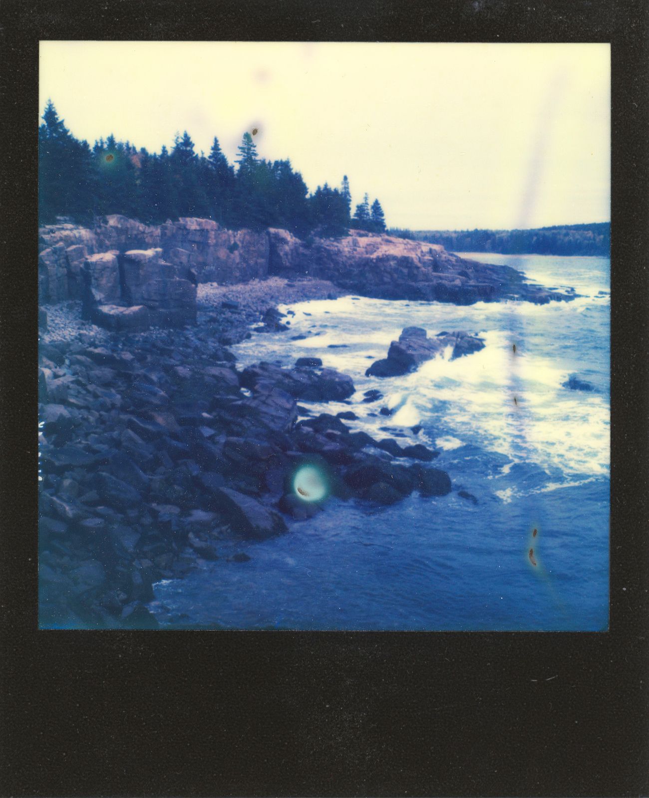 polaroid-0020d.JPG
