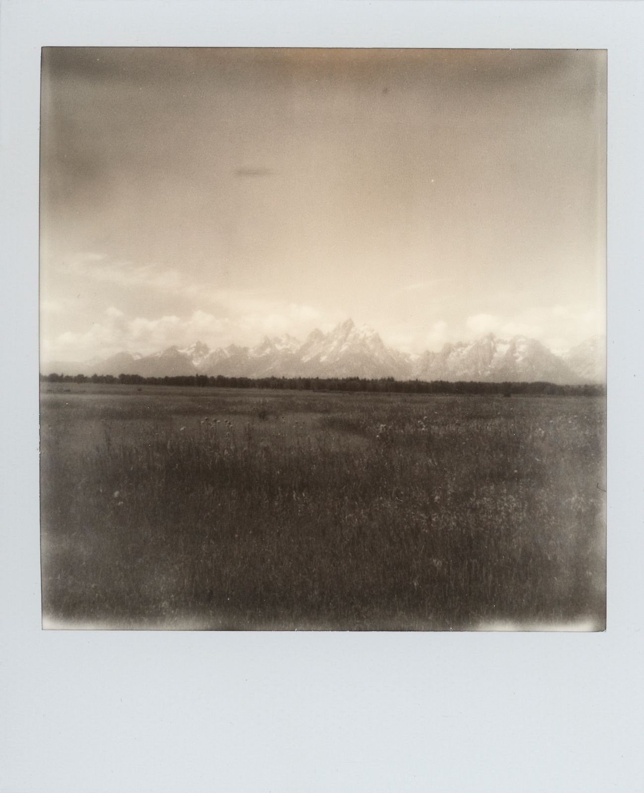 polaroid-0014c.JPG