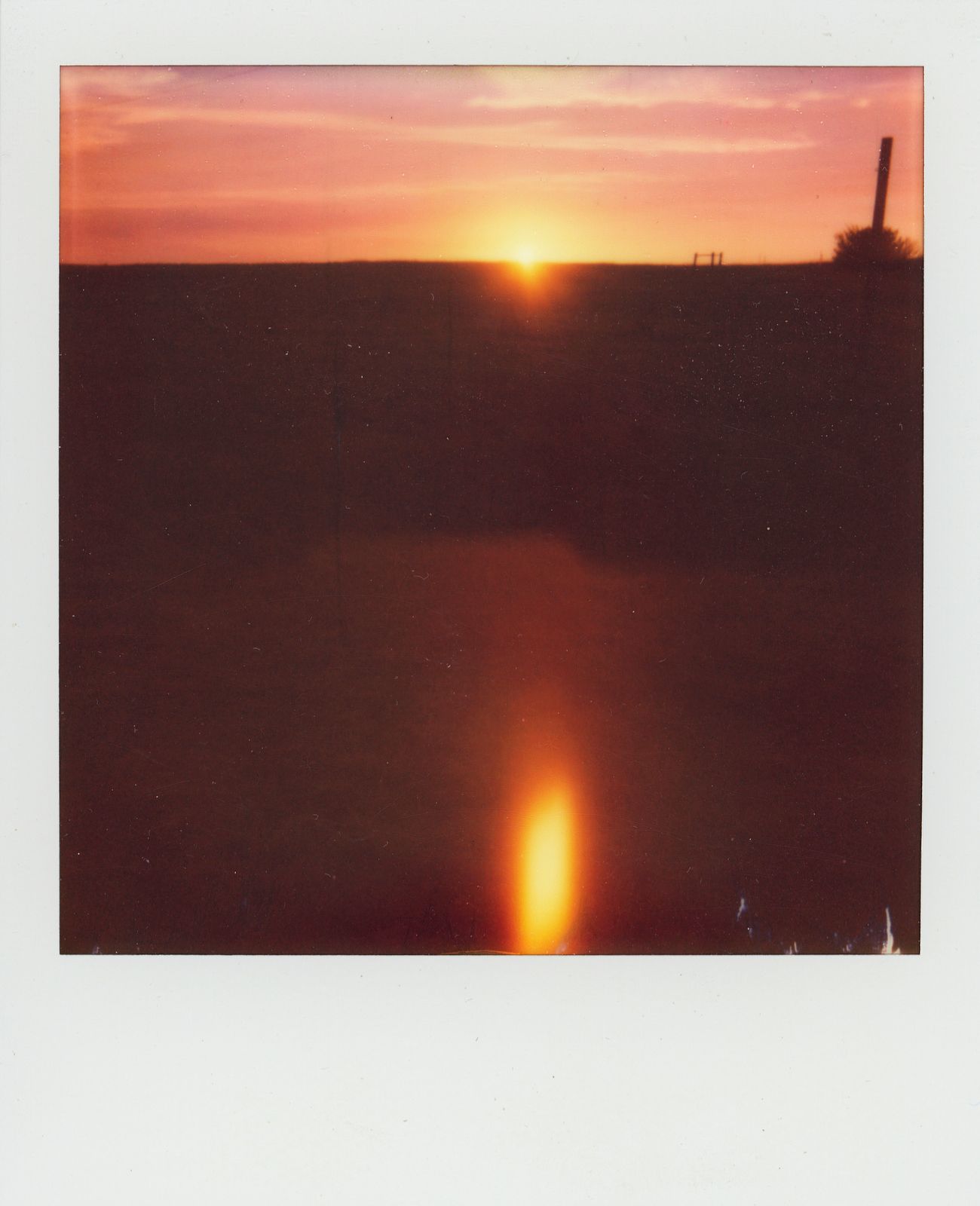 polaroid-0028b.JPG