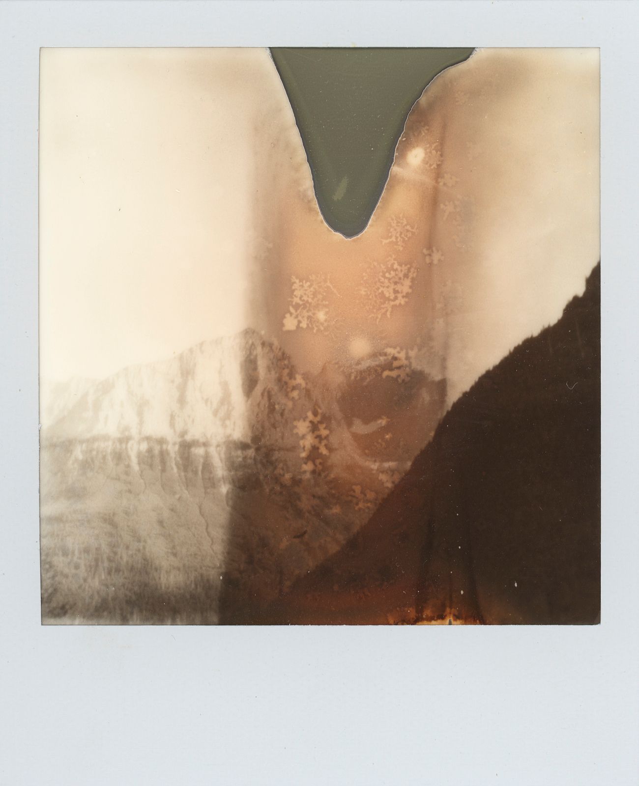 polaroid-0030c.JPG