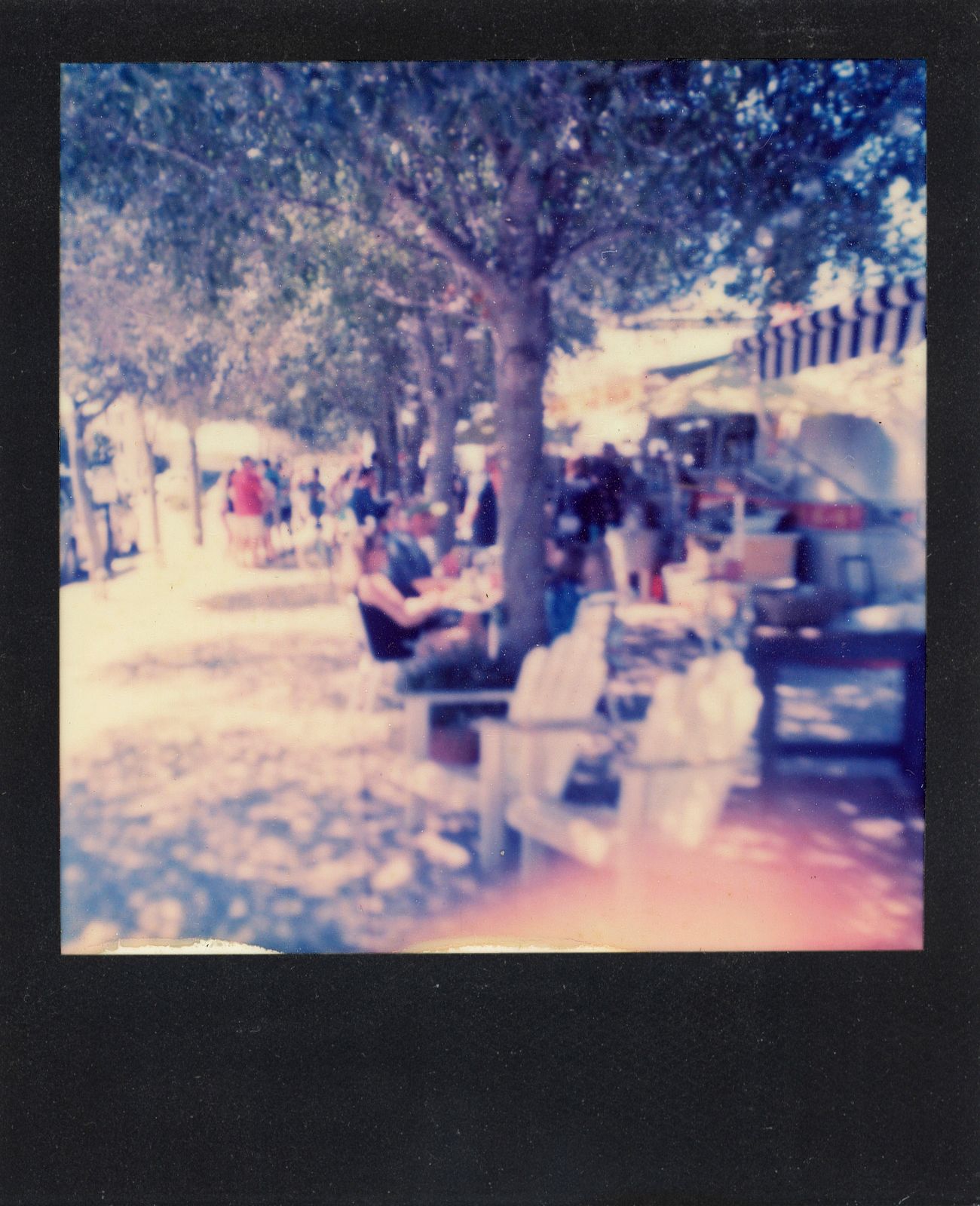 polaroid-0023b.JPG