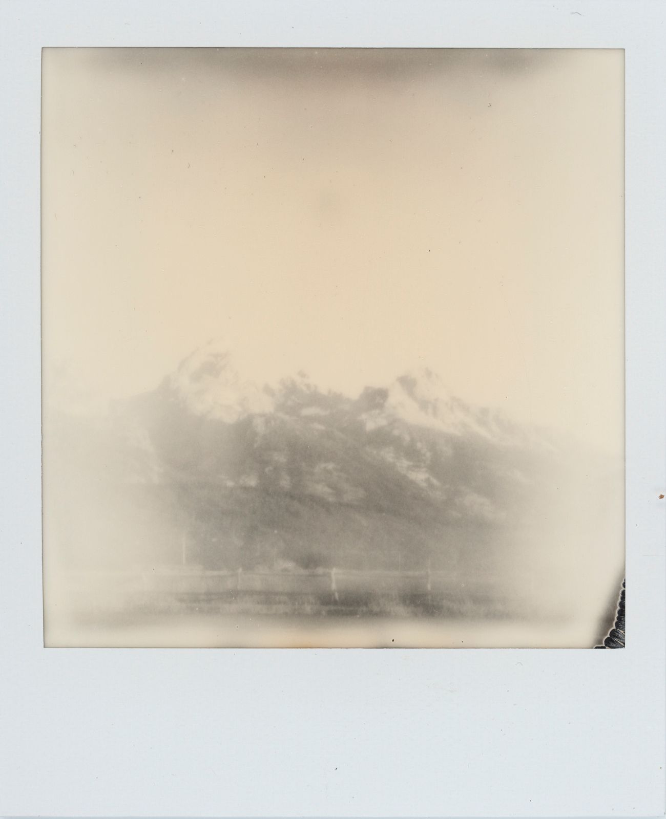 polaroid-0030a.JPG