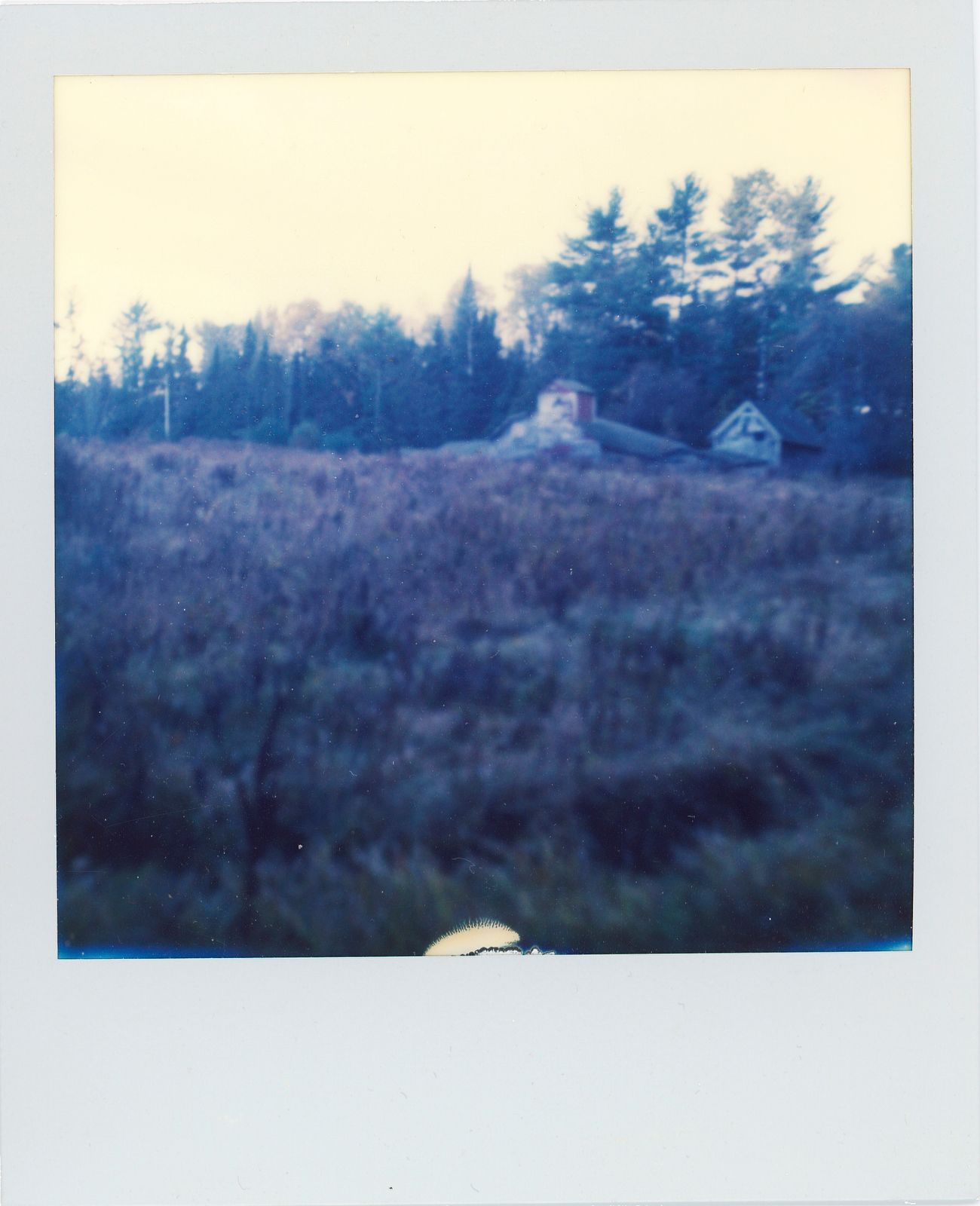 polaroid-0017d.JPG