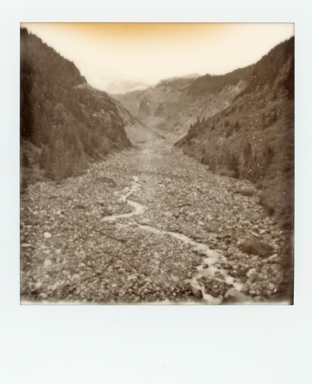 polaroid-0002b.JPG