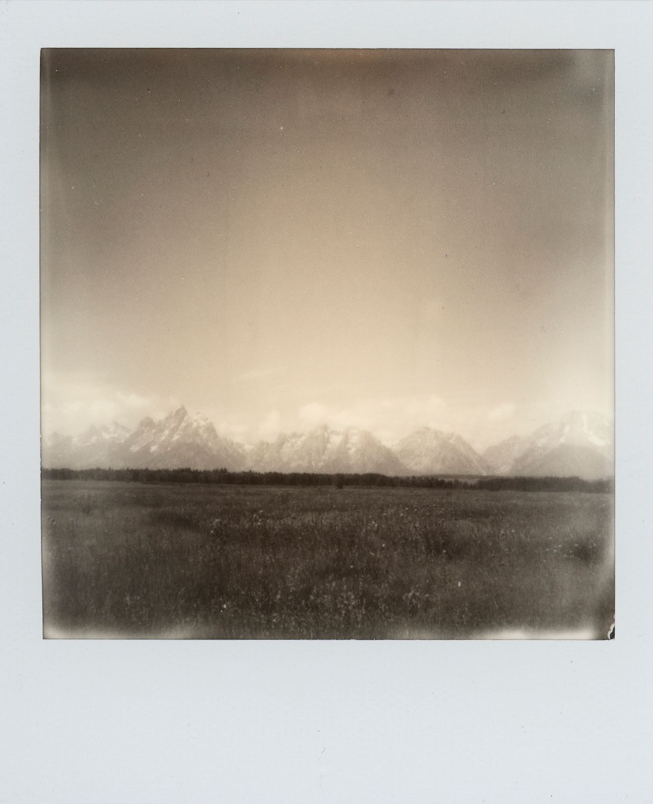 polaroid-0029a.JPG
