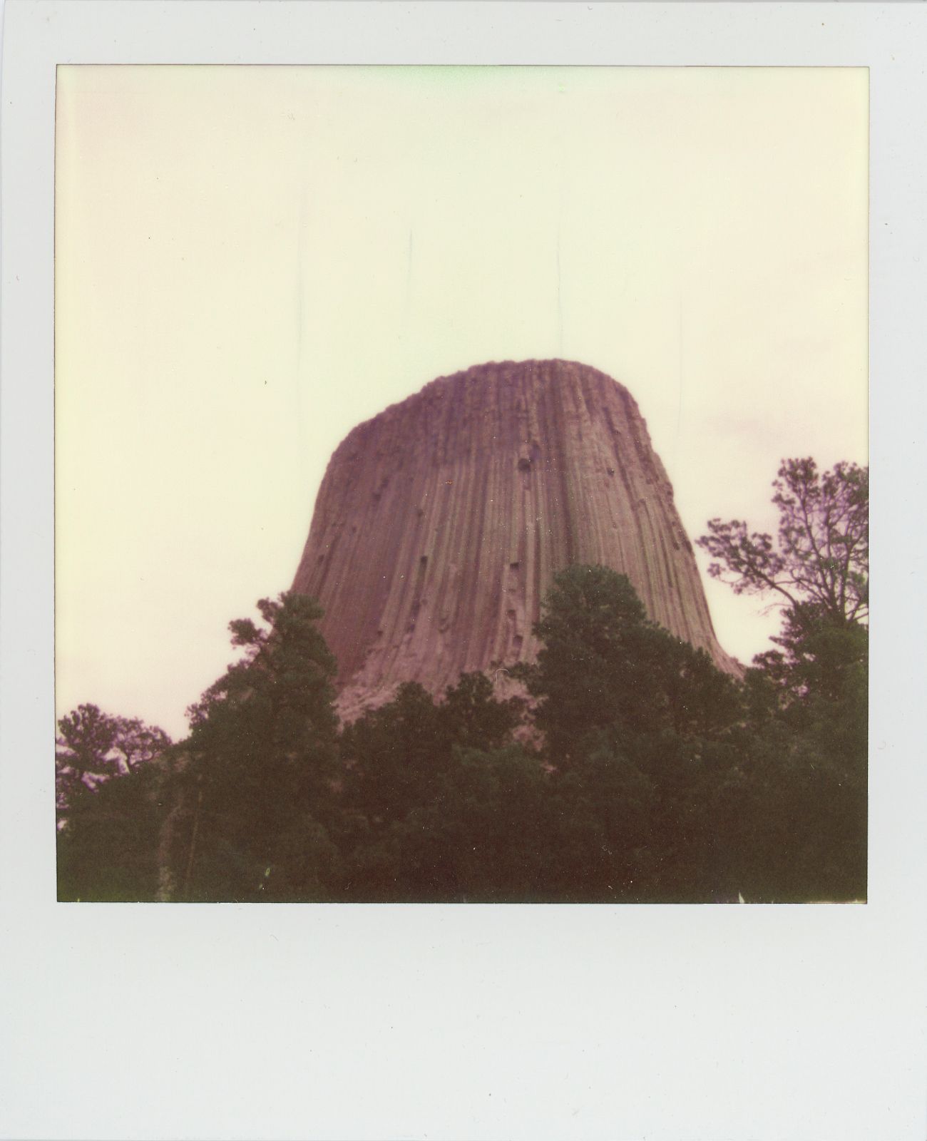 polaroid-0028c.JPG
