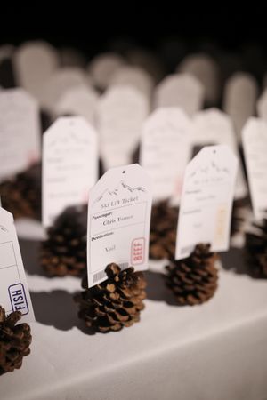 Pine Cone Namecards Decor