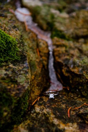 Hoopes Events | Shauna and Blake | Northampton House | American Fork Utah | Engagement Ring on Moss-Covered Rocks with Ice in Background Shauna_Blake_Northampton_House_American_Fork_Utah_Engagement_Ring_Moss_Ice.jpg