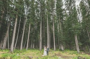 Towering Fir Tree Background Couple
