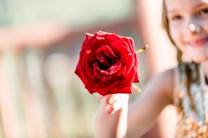 Child Holding a Single Red Rose Ceremony