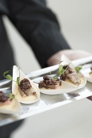 Hors d'ouvres Reception