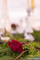 Salt_Air_Wedding_Shoot_Saltair_Resort_Salt_Lake_City_Utah_Elegant_Table_Setting_Burgundy_Evergreen_Decor.jpg