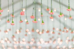 Hoopes Events | Katelyn and David | Park City Utah | Pungent Pink Carnation Ceiling with Bistro Lights Katelyn_David_Park_City_Utah_Pungent_Pink_Carnation_Ceiling.jpg