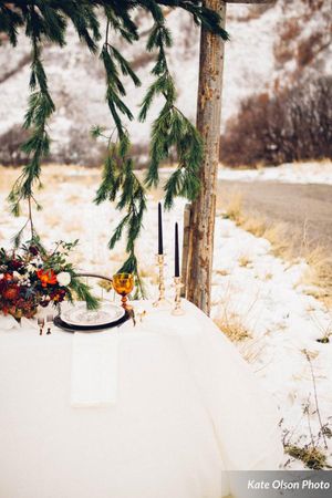 Hoopes Events | Romantic Winter-Styled Shoot | Evergreen Drape Romantic_Winter_Shoot_Evergreen_Drape.jpg