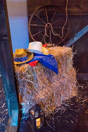 Hoopes Events | The Local Pages | 2017 | Infinity Event Center | Salt Lake City Utah | Hay Bale and Wagon Wheel Decor The_Local_Pages_2017_Infinity_Event_Center_Salt_Lake_City_Utah_Hay_Bale_Wagon_Wheel.jpg