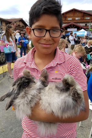 Fluffy Rabbit Holding Children's Activities